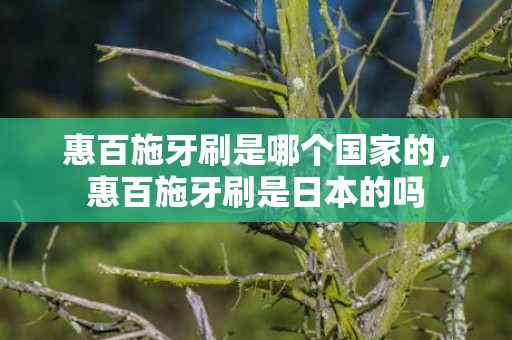 惠百施牙刷是哪个国家的，惠百施牙刷是日本的吗