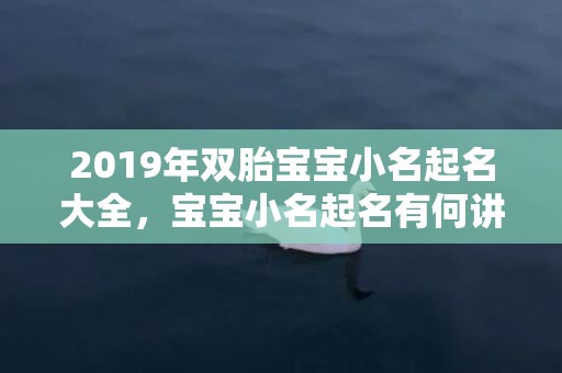 2019年双胎宝宝小名起名大全，宝宝小名起名有何讲究？