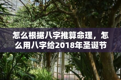 怎么根据八字推算命理，怎么用八字给2018年圣诞节出生的宝宝取名？