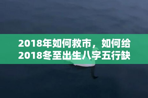 2018年如何救市，如何给2018冬至出生八字五行缺土的属狗女孩起名？