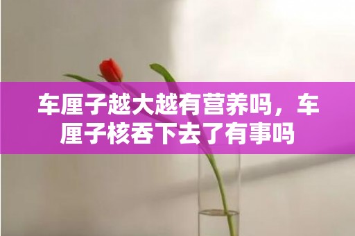 车厘子越大越有营养吗，车厘子核吞下去了有事吗