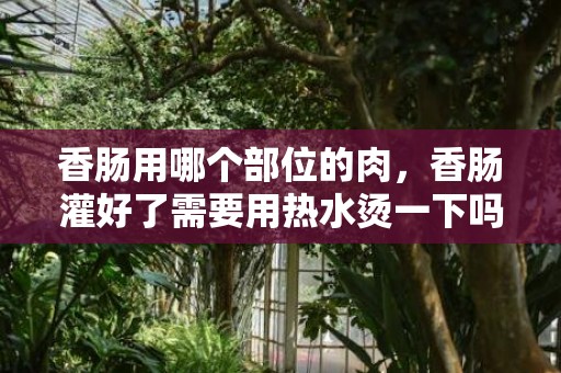 香肠用哪个部位的肉，香肠灌好了需要用热水烫一下吗