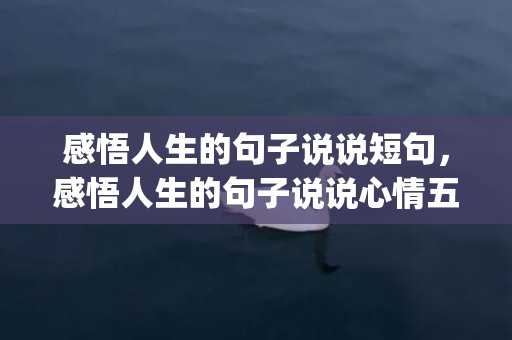 感悟人生的句子说说短句，感悟人生的句子说说心情五百字(关于人生感悟的作文500字)