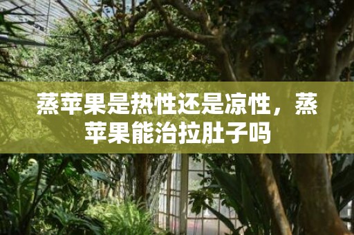 蒸苹果是热性还是凉性，蒸苹果能治拉肚子吗