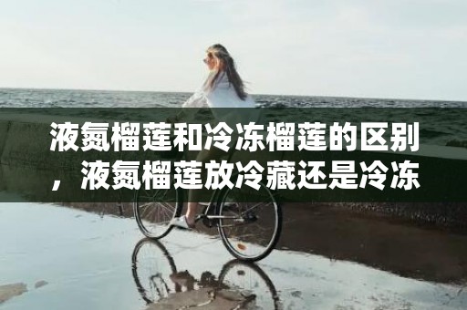 液氮榴莲和冷冻榴莲的区别，液氮榴莲放冷藏还是冷冻