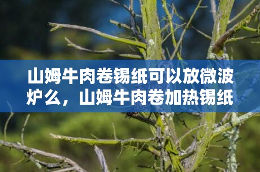 山姆牛肉卷锡纸可以放微波炉么，山姆牛肉卷加热锡纸要拿掉吗