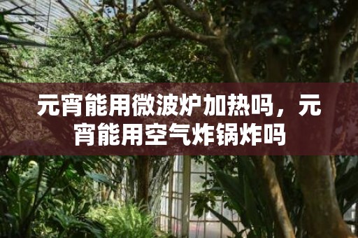 元宵能用微波炉加热吗，元宵能用空气炸锅炸吗