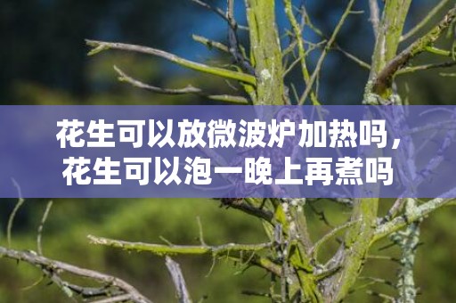 花生可以放微波炉加热吗，花生可以泡一晚上再煮吗