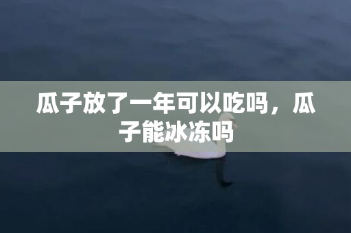 瓜子放了一年可以吃吗，瓜子能冰冻吗