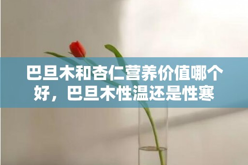 巴旦木和杏仁营养价值哪个好，巴旦木性温还是性寒