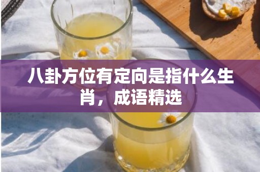 八卦方位有定向是指什么生肖，成语精选