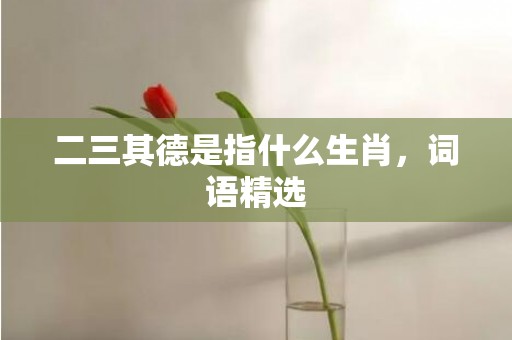 二三其德是指什么生肖，词语精选