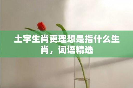 土字生肖更理想是指什么生肖，词语精选