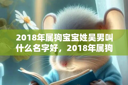 2018年属狗宝宝姓吴男叫什么名字好，2018年属狗宝宝起名，100分的名字大全