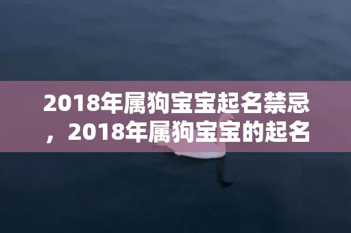 2018年属狗宝宝起名禁忌，2018年属狗宝宝的起名原则，狗年宝宝起名规则