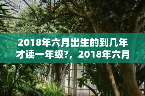 2018年六月出生的到几年才读一年级?，2018年六月出生狗宝宝取名，狗年农历六月出生的宝宝名字大全