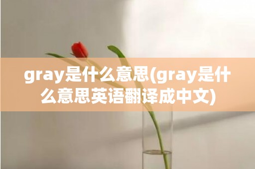 gray是什么意思(gray是什么意思英语翻译成中文)