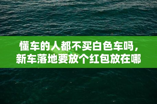 懂车的人都不买白色车吗，新车落地要放个红包放在哪