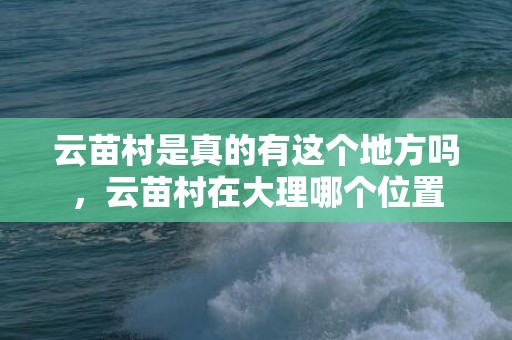 云苗村是真的有这个地方吗，云苗村在大理哪个位置