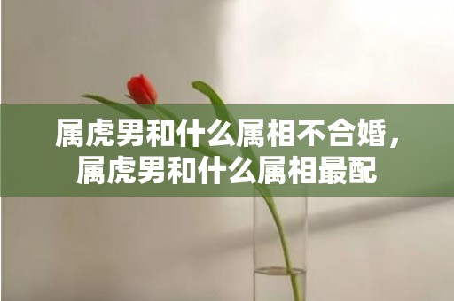 属虎男和什么属相不合婚，属虎男和什么属相最配