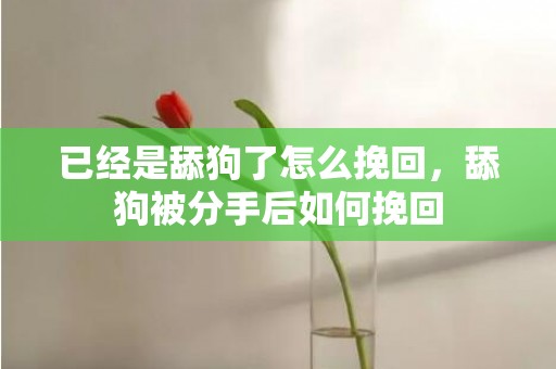 已经是舔狗了怎么挽回，舔狗被分手后如何挽回