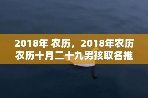 2018年 农历，2018年农历农历十月二十九男孩取名推荐，该日卦象好不好？