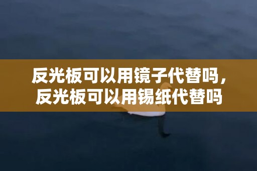 反光板可以用镜子代替吗，反光板可以用锡纸代替吗