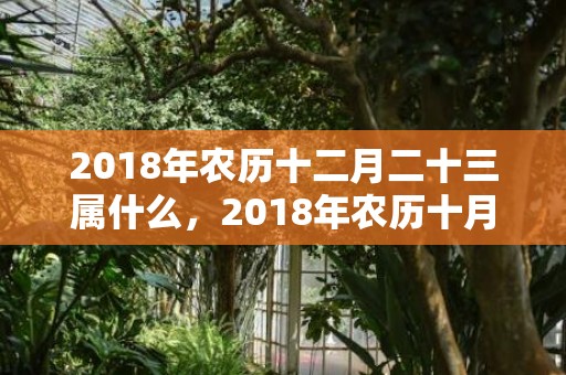 2018年农历十二月二十三属什么，2018年农历十月二十八出生女孩如何起名？该日卦象好吗？