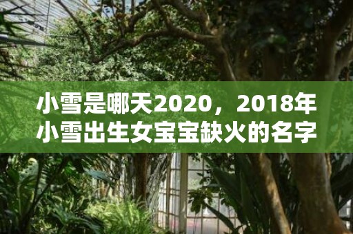 小雪是哪天2020，2018年小雪出生女宝宝缺火的名字有哪些？缺火的人最忌讳什么？