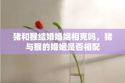 猪和猴结婚婚姻相克吗，猪与猴的婚姻是否相配