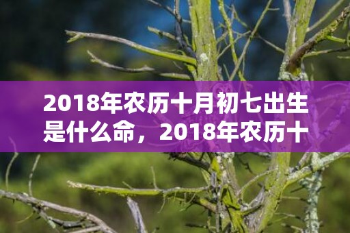 2018年农历十月初七出生是什么命，2018年农历十月初七出生宝宝如何起名？五行缺什么？