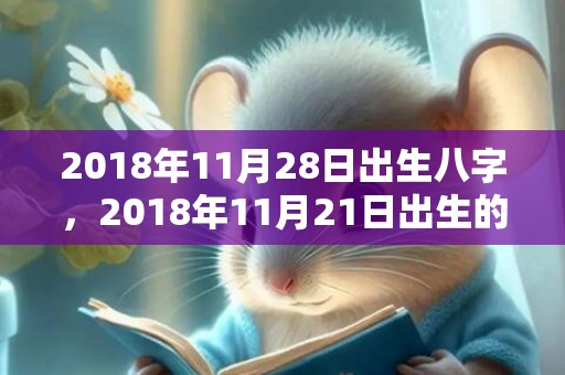 2018年11月28日出生八字，2018年11月21日出生的女孩怎么取名？命运如何？