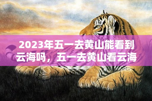 2023年五一去黄山能看到云海吗，五一去黄山看云海好玩吗