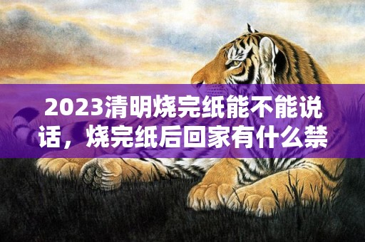 2023清明烧完纸能不能说话，烧完纸后回家有什么禁忌