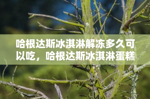 哈根达斯冰淇淋解冻多久可以吃，哈根达斯冰淇淋蛋糕怎么解冻