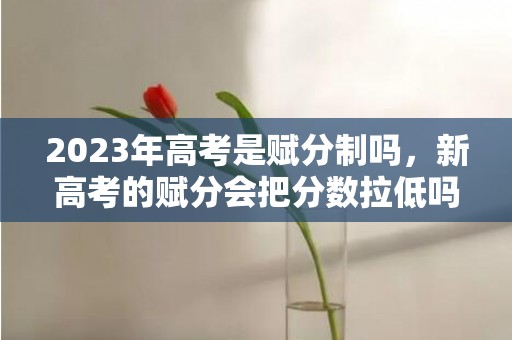 2023年高考是赋分制吗，新高考的赋分会把分数拉低吗