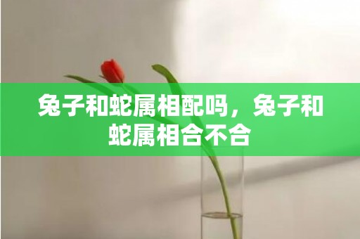 兔子和蛇属相配吗，兔子和蛇属相合不合