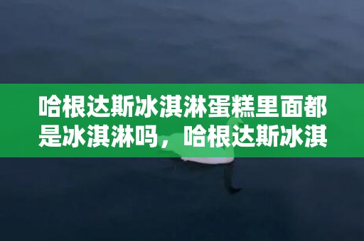 哈根达斯冰淇淋蛋糕里面都是冰淇淋吗，哈根达斯冰淇淋蛋糕有蛋糕胚吗