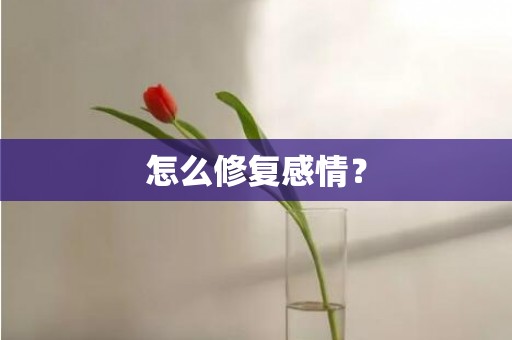 怎么修复感情？