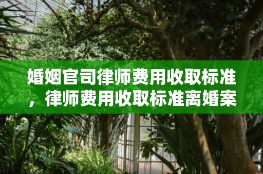 婚姻官司律师费用收取标准，律师费用收取标准离婚案判决书，离婚民事判决书