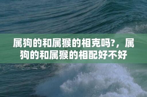 属狗的和属猴的相克吗?，属狗的和属猴的相配好不好