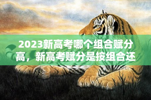 2023新高考哪个组合赋分高，新高考赋分是按组合还是单科