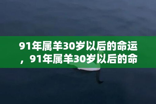 91年属羊30岁以后的命运，91年属羊30岁以后的命运