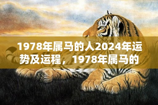 1978年属马的人2024年运势及运程，1978年属马的最佳配偶