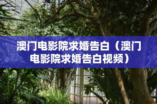 澳门电影院求婚告白（澳门电影院求婚告白视频）