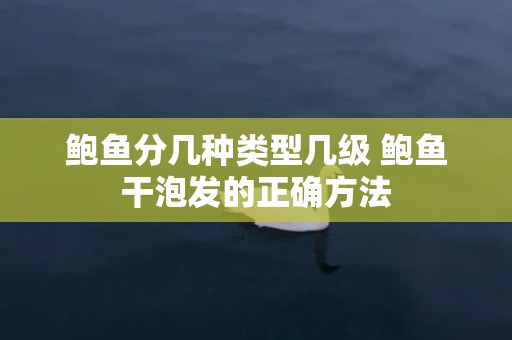 鲍鱼分几种类型几级 鲍鱼干泡发的正确方法