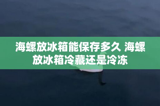 海螺放冰箱能保存多久 海螺放冰箱冷藏还是冷冻