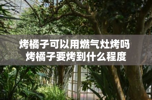 烤橘子可以用燃气灶烤吗 烤橘子要烤到什么程度