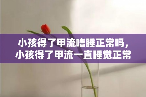 小孩得了甲流嗜睡正常吗，小孩得了甲流一直睡觉正常吗