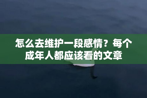 怎么去维护一段感情？每个成年人都应该看的文章